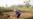 Rural Discontent Spotlights Those Left Behind