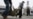 Thousands Of Central Asian Sheep Killed By Dubious Vaccine