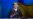 Exclusive: Tymoshenko Defends Decision Not To Fight Over Crimea