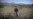 The Smerch Rocket: A Fearsome Symbol Of The Nagorno-Karabakh War