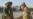 Romania To Pull Some Troops Out Of Iraq