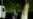 Nalchik Raids Trigger Harassment Against Muslims