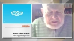 Яблоков. Пепелище Яблоков. Пепелище