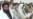 Prospects For Stability In Pakistan Still Uncertain
