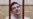 Адвокаты Савченко требуют ее перевода из больницы в СИЗО