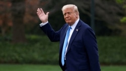 Цитаты Свободы. На трамповских качелях Цитаты Свободы. На трамповских качелях