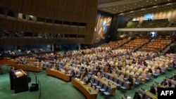 United Nations General Assembly