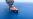 Oil-Tanker Attacks A 'Dangerous Escalation' In U.S.-Iran Confrontation, Expert Says