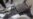 In Egypt, Two Self-Immolations
