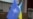 FT: Украина может войти в НАТО без оккупированных территорий