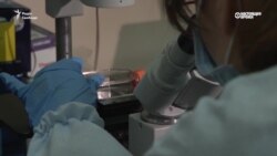 Учені в Україні розробили тести на COVID-19. Про це просили МОЗ і РНБО, але тепер держава їх не закуповує (відео) Учені в Україні розробили тести на COVID-19. Про це просили МОЗ і РНБО, але тепер держава їх не закуповує (відео)