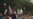 Washington Police Arrest Antiwar Protesters