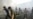 Is Russia Losing the North Caucasus?