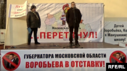 Митинг 20 ноября 2016 года в парке Сокольники в защиту местного самоуправления