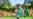 В Красноярске депутат-единоросс предложил запретить игру Minecraft