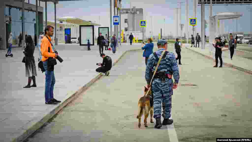 Німецька вівчарка в аеропорту – теж на службі