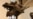 16x9 Image