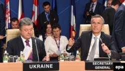 Надежда Савченко на саммите НАТО в Варшаве