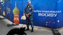 Лицом к событию. Трэш, стеб и троллинг в адрес российской сборной  Лицом к событию. Трэш, стеб и троллинг в адрес российской сборной
