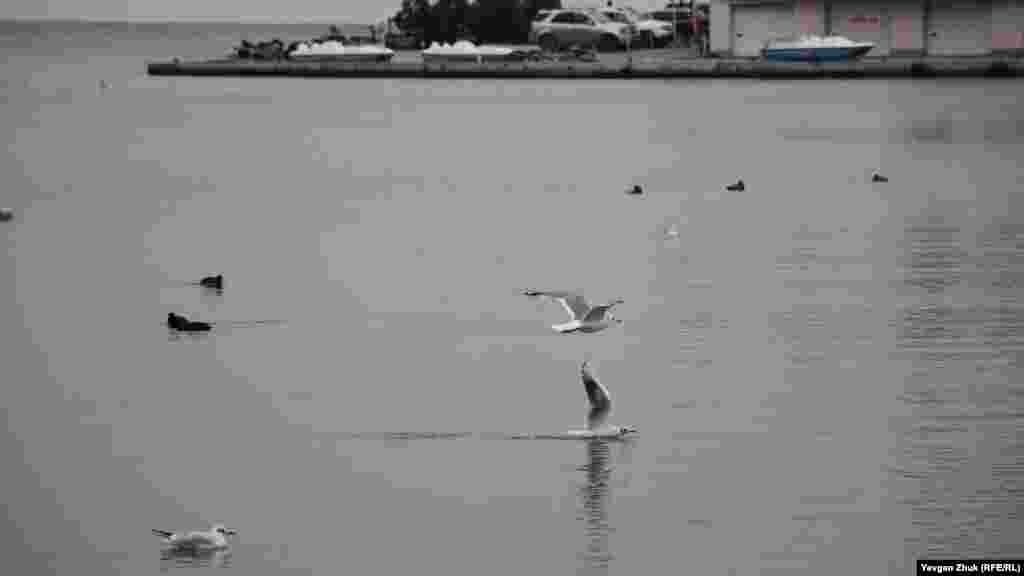 Водное и воздушное скольжение 