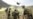 Afghan Parliament Briefed On U.S. Pact
