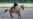 Turkmenistan: A Land Of Health And Happiness...And Horses