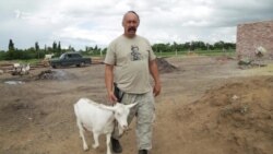 Как воин АТО стал фермером и разводит коз (видео) Как воин АТО стал фермером и разводит коз (видео)