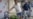 Reporter's Notebook: After A 'Death' And 'Resurrection' In Kyiv, Confusion And A Desire For Answers