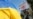 «Кого дурят, Кремль или украинский народ?»