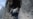 Noted Photojournalists Killed In Libya
