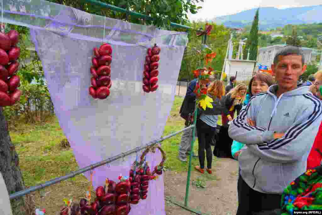 Выращиванием ялтинского лука в селе Запрудном занимается почти каждый сельчанин.