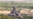 16x9 Image