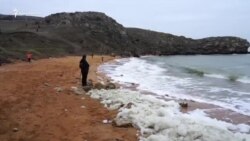 Азовское море сбивается в пену у крымских берегов (видео) Азовское море сбивается в пену у крымских берегов (видео)
