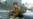 16x9 Image