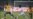 Political Football In Iran