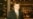 Tatarstan Candidate Accuses Ruling Party Of Violations