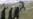 Tajikistan Asks Russia To Pay Rent