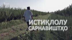 "Истиқлолият гуфта нишинем, намешавад" "Истиқлолият гуфта нишинем, намешавад"