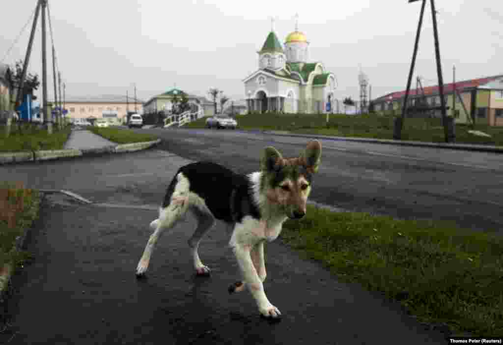 Кунашир – один из четырех островов, который Токио называет Северной территорией. Он расположен всего в 20 километрах от Японии  
