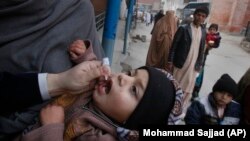 چارواکي وايي، نوي کیسونه په سند صوبه او صوابۍ کې مخې ته راغلي.