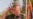 Report: Mladic Received State Pension Until Last Month