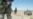 U.S. Wants New Probe On Herat Air-Strike Casualties