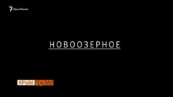 Как Россия подставила крымчан под пули (видео) Как Россия подставила крымчан под пули (видео)