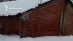 Бродячие псы наводят страх на жителей казанского микрорайона Бродячие псы наводят страх на жителей казанского микрорайона