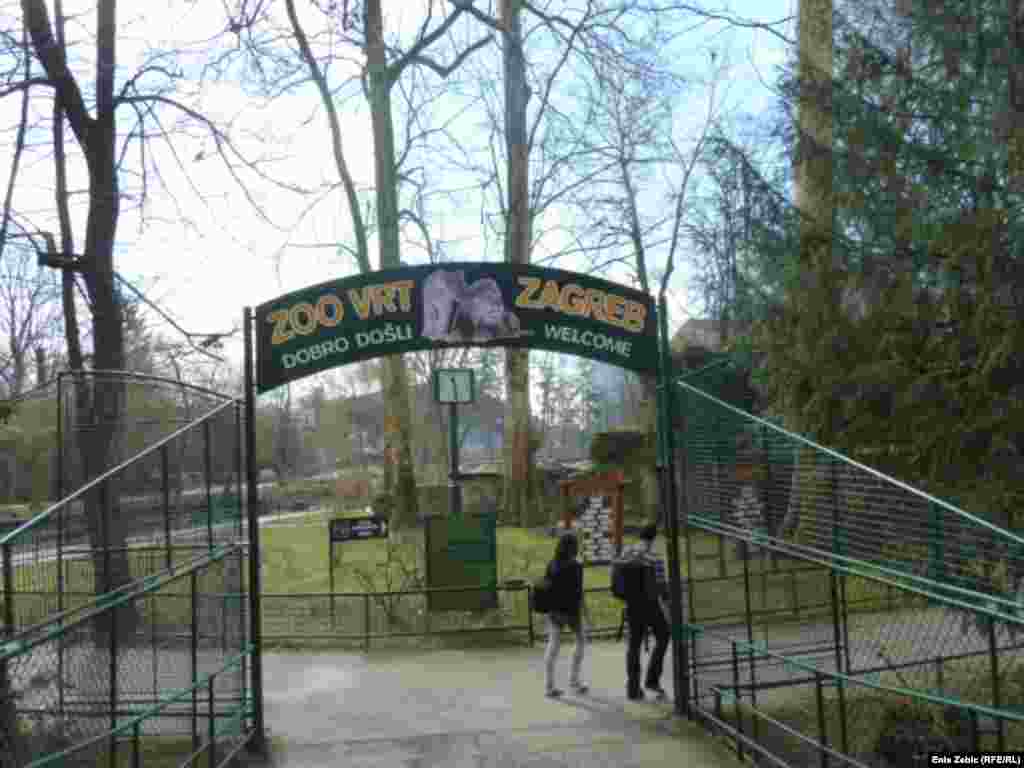 Zagreb's zoo agreed to house the snakes, as other zoos either didn't have the facilities or wanted just some of the collection on offer after the owner's death.