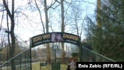Zagreb Zoo Houses Serbian Snake Collection