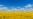 Пятиклассницу забрали в полицию из-за "Разговоров о важном" и аватарки