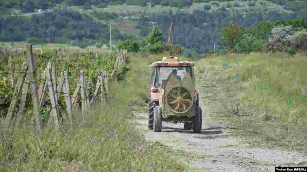 На 10 гектарах колишніх виноградників агрофірма «Золота Балка» планує побудувати котеджне селище. 19 травня відбулися громадські слухання