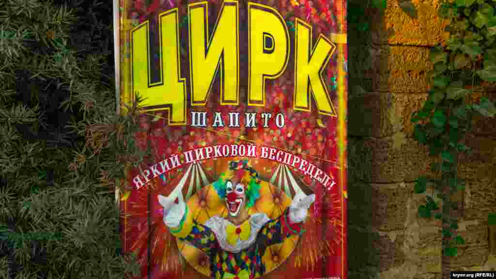 Еще одна опция – цирк