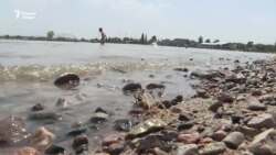 Табибони тоҷик хостанд, мардум аз гармо эҳтиёт кунанд Табибони тоҷик хостанд, мардум аз гармо эҳтиёт кунанд